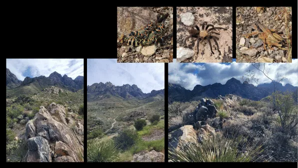 FILLMORE CANYON