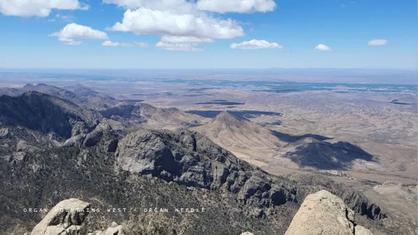 ORGAN MOUNTAINS WEST - ORGAN NEEDLE