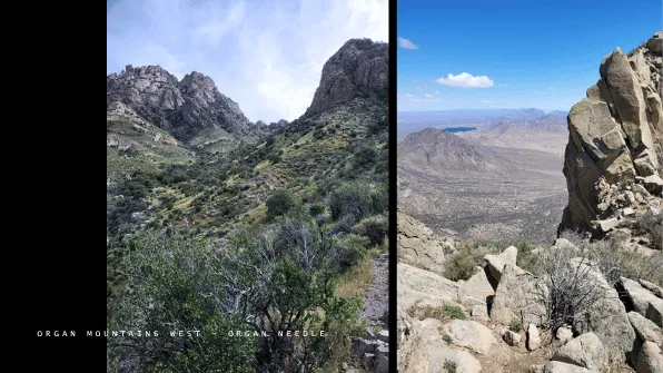 ORGAN MOUNTAINS WEST - ORGAN NEEDLE
