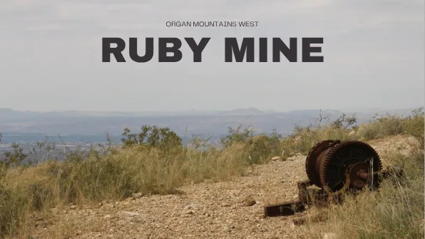 RUBY MINE