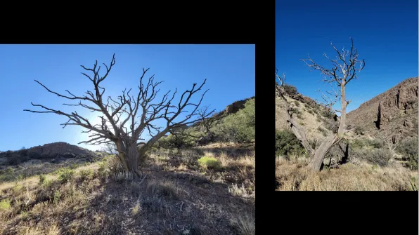 ACHENBACH CANYON