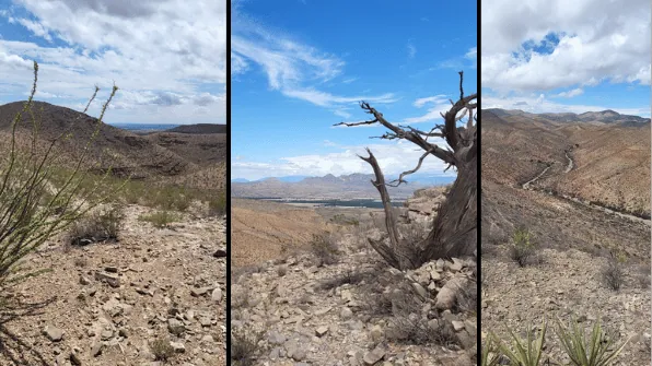 ROBLEDO RIDGELINE