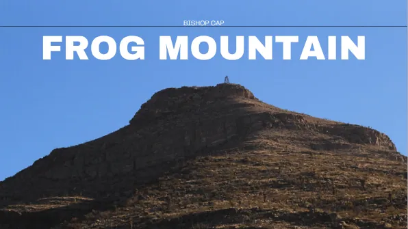 FROG MOUNTAIN