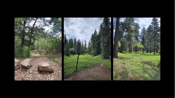 OSHA TRAIL