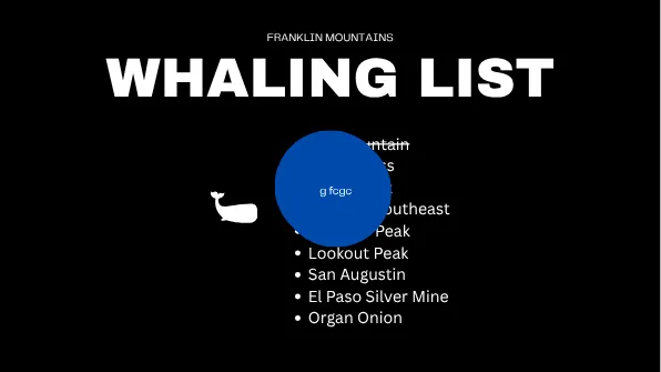 Whaling list